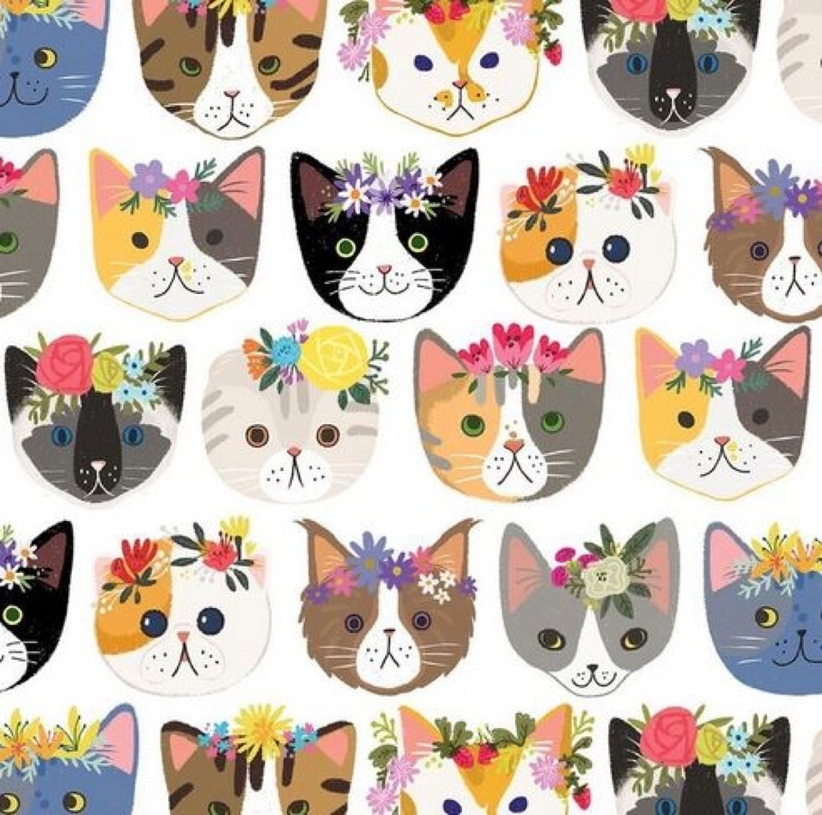 Kitty Cats