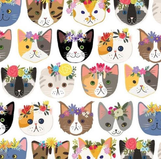 Kitty Cats