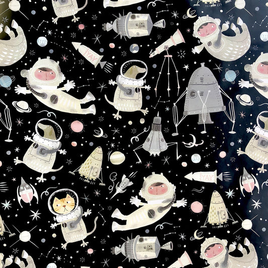 Space Orbit